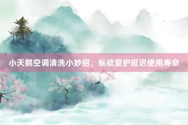 小天鹅空调清洗小妙招，纵欲爱护延迟使用寿命